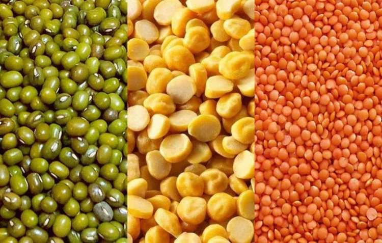 Assorted Indian pulses